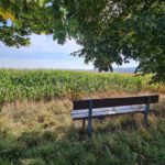 Limburg-Diez-Runde Limburg-Diez-Runde